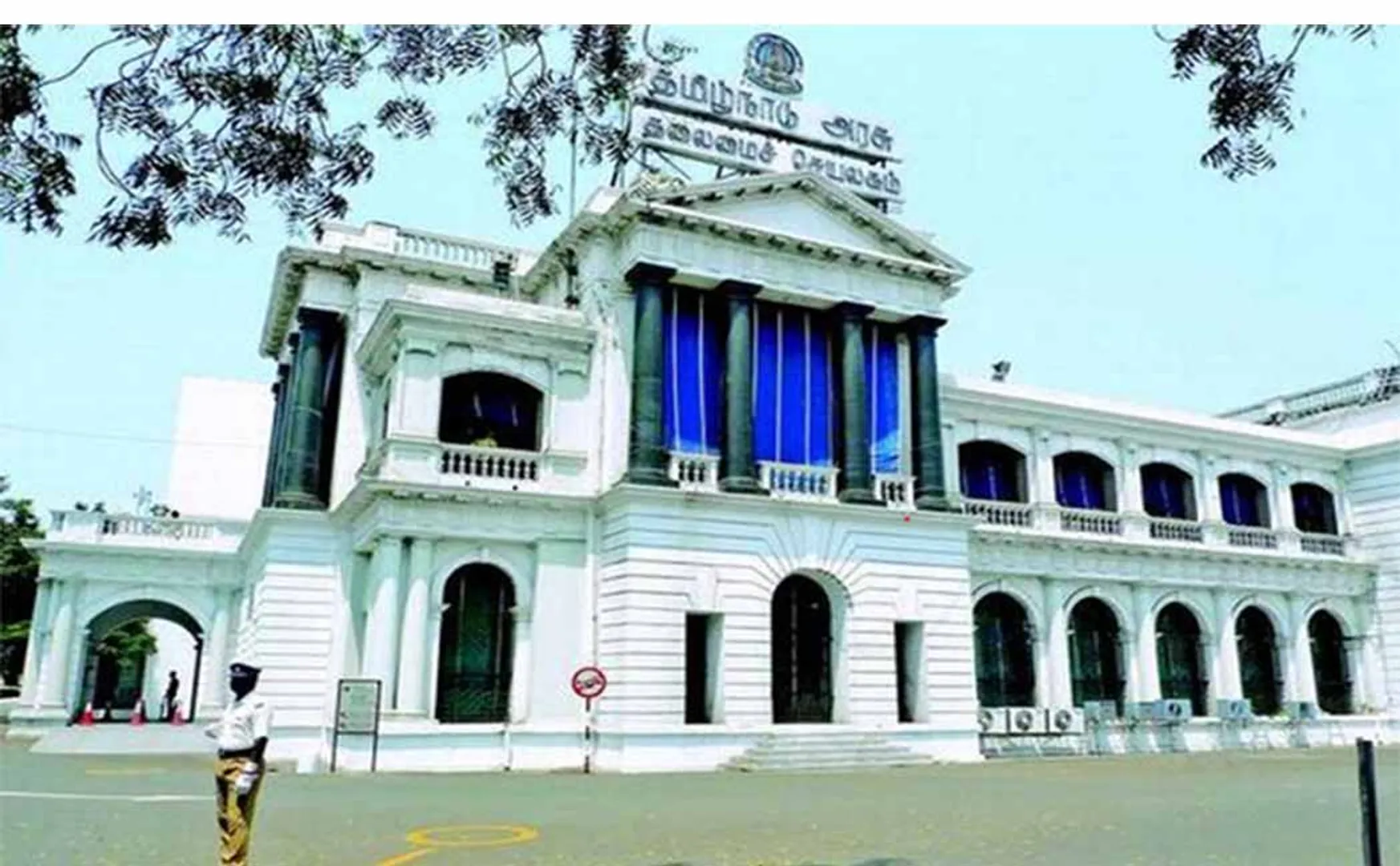  Another of the trees  When planting in place chennai high court 